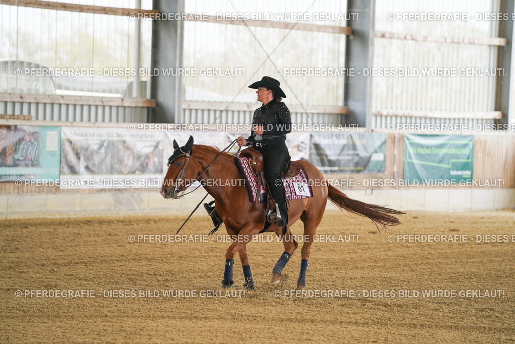 DSC06938 | Pferdegrafie