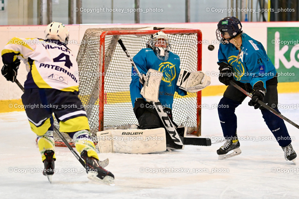 BST_6448 | hockey sports photos, Pressefotos, Sportfotos, hockey247, win 2day icehockeyleague, Handball Austria, Floorball Austria, ÖVV, Kärntner Eishockeyverband, KEHV, KFV, Kärntner Fussballverband, Österreichischer Volleyballverband, Alps Hockey League, ÖFB, 