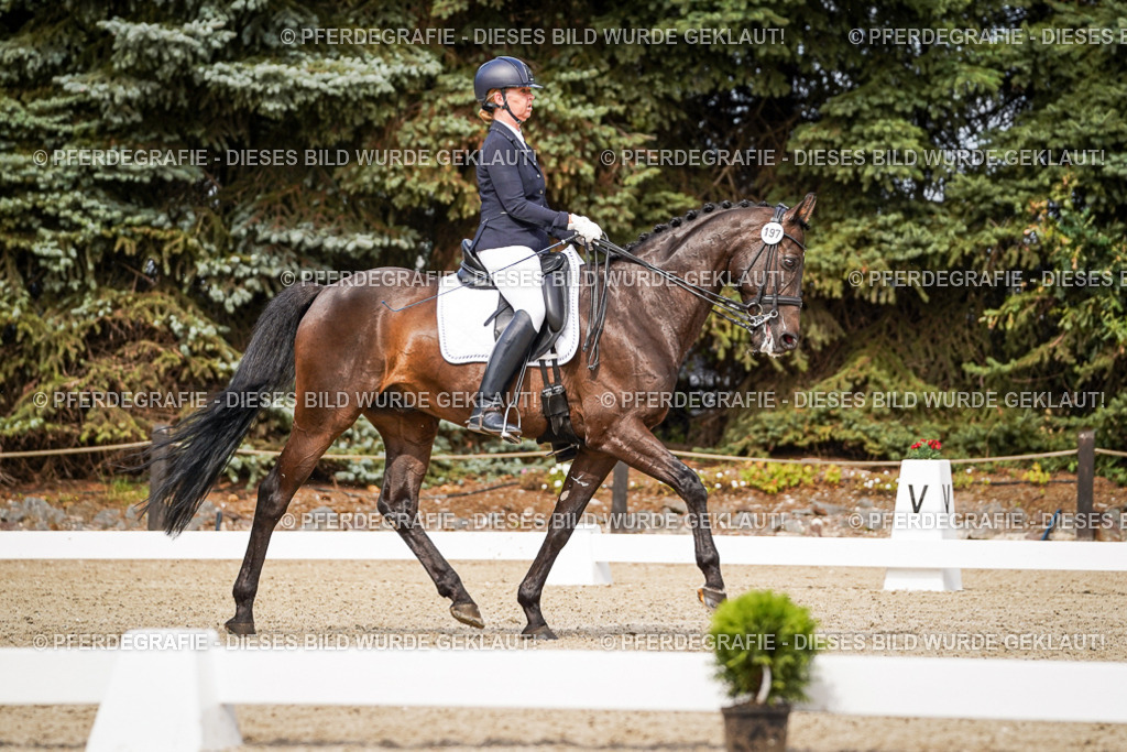 DSC05917 | Pferdegrafie