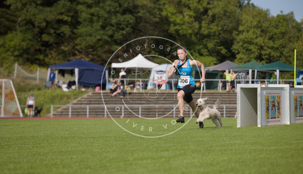 0L8A3639 | Hundefotografie, Tierfotograf, Pfotenfotografie, Fotoshooting Hund, Hunde Portrait, Hundesport, Hundeportraits, Heideshooting, Hunde, Sportfotograf, Hundefotograf, Turnierhundsport, THS,  - Realisiert mit Pictrs.com