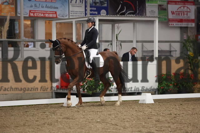 Waghäusel-Wiesental_2024_Prfg.Nr.08_1.WP_U25_Gabriele Roller_Don Moriarty (3) | Alle Fotos der Reiterjournal Fotografin Doris Matthaes im Reiterjournal Online-Fotoshop. - Realisiert mit Pictrs.com