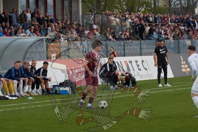 BFC Dynamo vs. FC Eilenburg  032 | mythos-online-redaktion