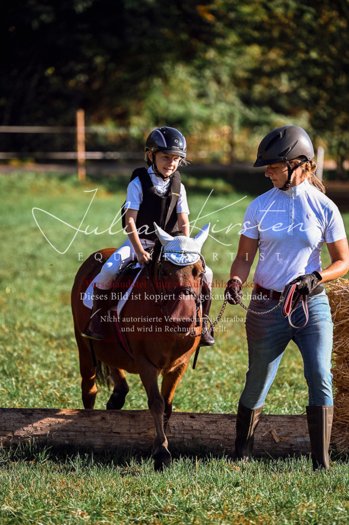 DSC_0461 | Pferde- und Turnierfotografie in Westsachsen. Pferdeportraits, Auftragszeichnungen und intuitive Kunst.
