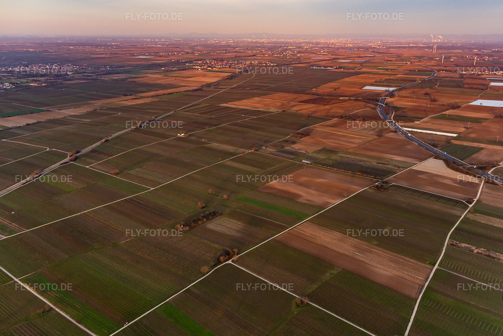 Luftbild: Mecke-INFO im Ortsteil Mußbach in Neustadt im Bundesland Rheinland-Pfalz in Deutschland. Foto: IMG_130618.jpg vom 12.02.2022 durch Werner Riehm/FLY-FOTO.de