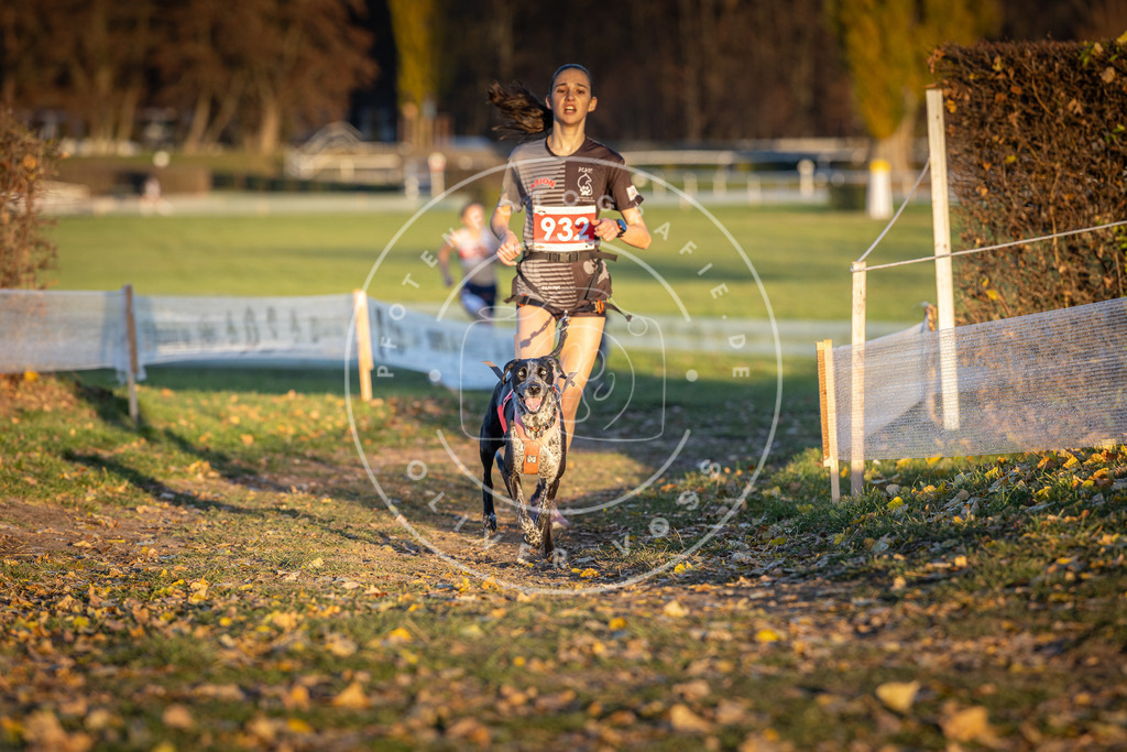 CaniXpix_DV3A5154 | Hundefotografie, Tierfotograf, Pfotenfotografie, Fotoshooting Hund, Hunde Portrait, Hundesport, Hundeportraits, Heideshooting, Hunde, Sportfotograf, Hundefotograf, Turnierhundsport, THS,  - Realisiert mit Pictrs.com