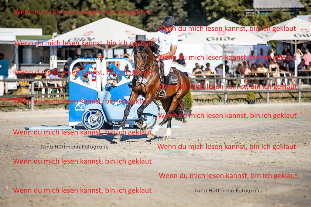 BK1A8229 | Turnierbilder Turnierfotos Nina Hüffmann Turnierfotografie Pferdefotografie Tierzeichnung Haustierzeichnung Pferdezeichnung Hundezeichnung Videograf  - Realisiert mit Pictrs.com