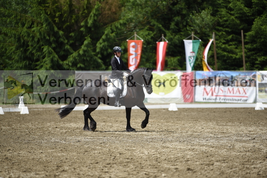 DSC_0781 | equestrian-live-com