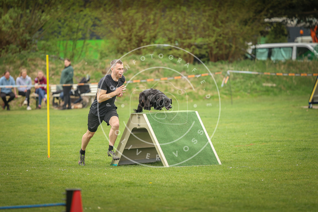 Pfotenfotografie_0L8A1999 | Hundefotografie, Tierfotograf, Pfotenfotografie, Fotoshooting Hund, Hunde Portrait, Hundesport, Hundeportraits, Heideshooting, Hunde, Sportfotograf, Hundefotograf, Turnierhundsport, THS,  - Realisiert mit Pictrs.com