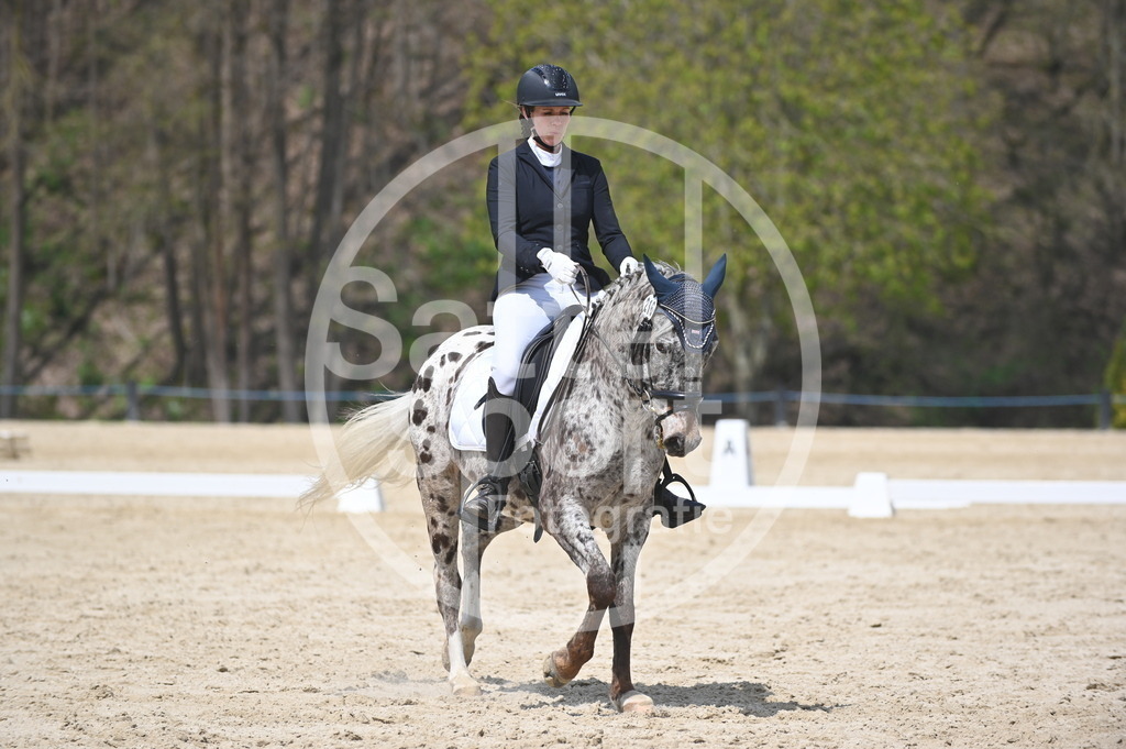 DSC_2263 | sattelsport - Realisiert mit Pictrs.com