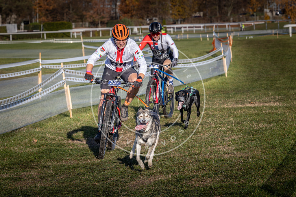 CaniXpix_0L8A4693 | Hundefotografie, Tierfotograf, Pfotenfotografie, Fotoshooting Hund, Hunde Portrait, Hundesport, Hundeportraits, Heideshooting, Hunde, Sportfotograf, Hundefotograf, Turnierhundsport, THS,  - Realisiert mit Pictrs.com