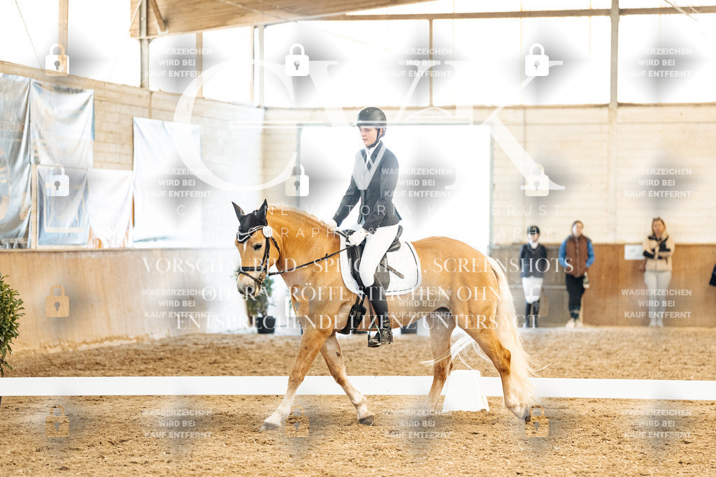 CK909961 | Turnierfotografie Pferdefotografie Trier Rheinland-Pfalz Pferdesport Reitsport Tierfotografie Sportfotografie Pferdevideo Pferdevideografie Equestrianvideography equestrianphotography  - Realisiert mit Pictrs.com