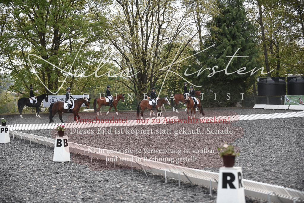 20230513_JK-Röhrsdorf-14-1018 | Pferde- und Turnierfotografie in Westsachsen. Pferdeportraits, Auftragszeichnungen und intuitive Kunst.