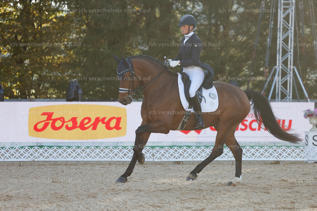 09_1-082-DRESSUR  S_  -StoibPH-5464 | working equitationturnier fotograf videograf stoibphotography marixx film working equitation deutschland reitsport turnierfotografie eventfotografie equestrian events