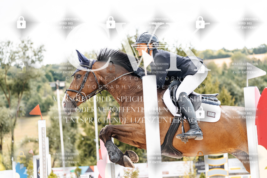 CK909263 | Turnierfotografie Pferdefotografie Trier Rheinland-Pfalz Pferdesport Reitsport Tierfotografie Sportfotografie Pferdevideo Pferdevideografie Equestrianvideography equestrianphotography  - Realisiert mit Pictrs.com