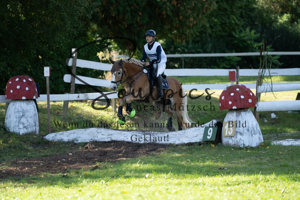 A7V03421 | Pferdefotograf