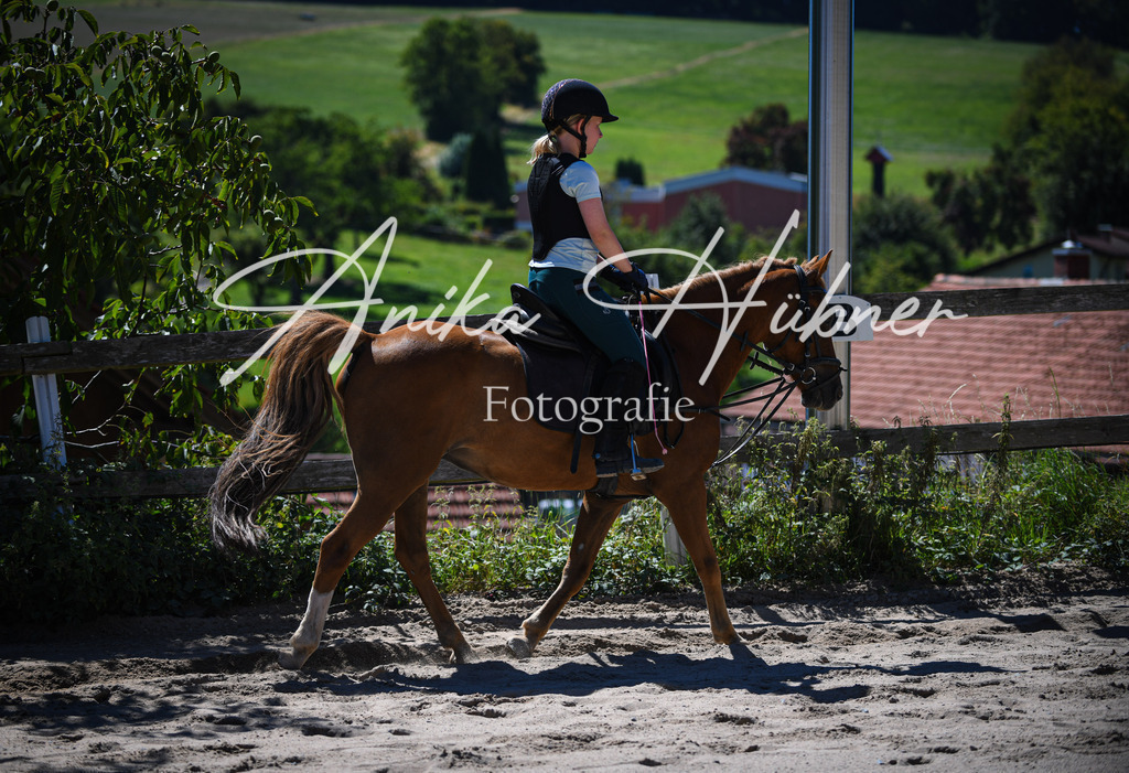 DSC_0958 | anikahuebner - Realisiert mit Pictrs.com