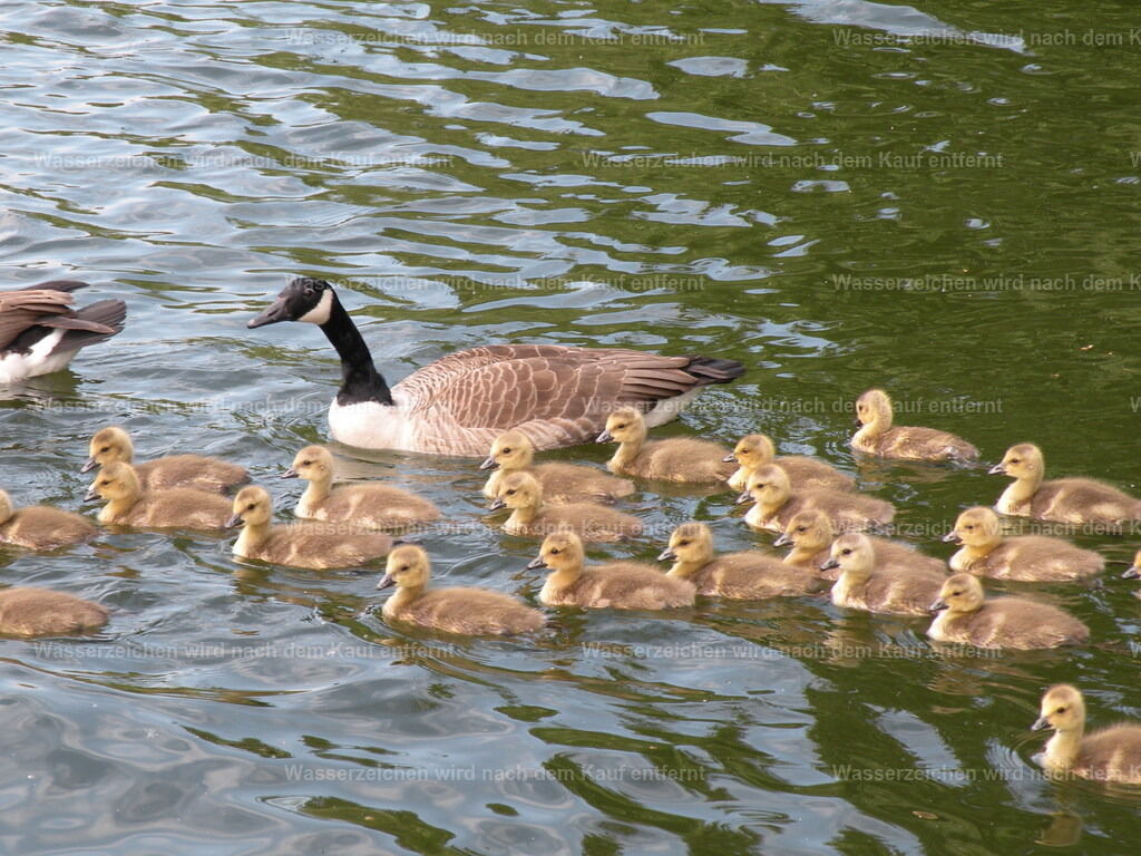 DSCN1133 | Entdecken Sie die faszinierende Welt von Norbert Michels: Surreale Kunstwerke, hochwertige Fotos, Leinwandbilder & Fotoprodukte wie Tassen mit bild7 - Realisiert mit Pictrs.com