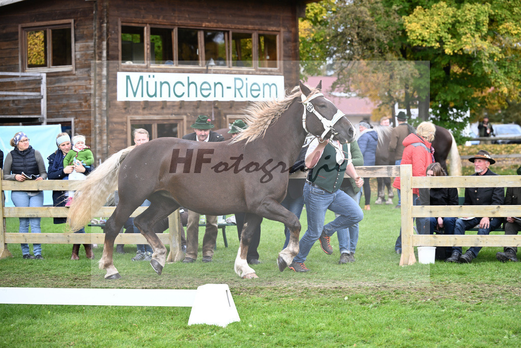Kat-Nr. 65 Ulrike v. Voila_Daser_41251462 | hf-fotografie - Realizzato con Pictrs.com
