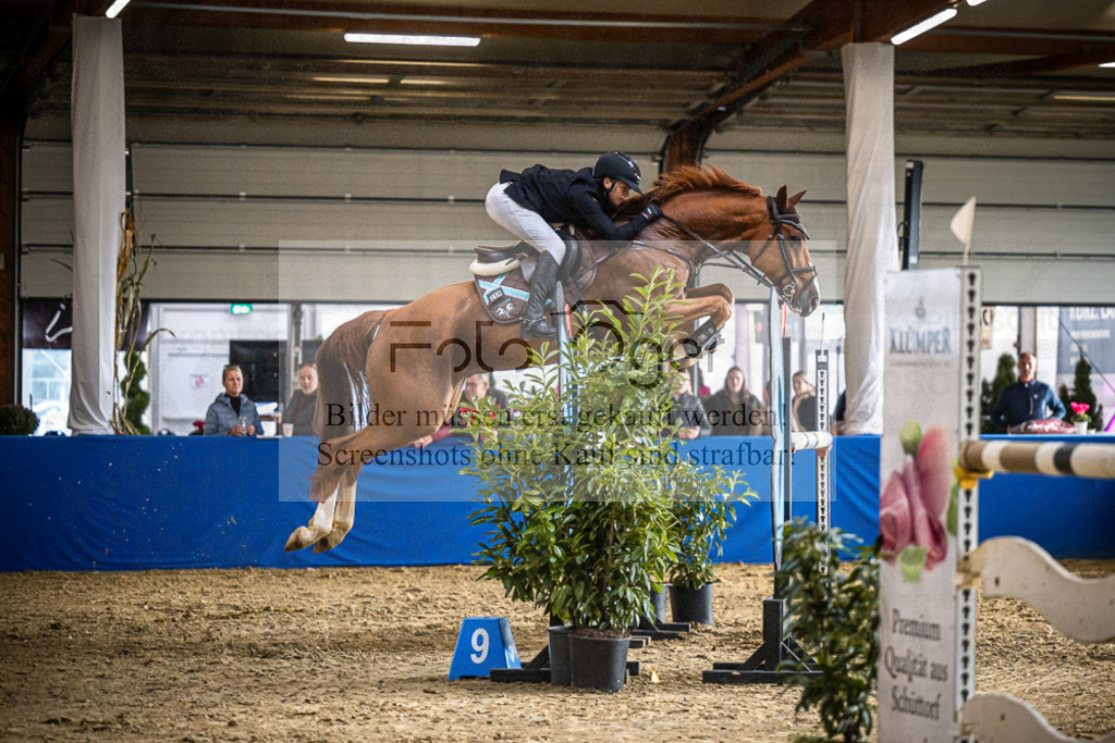 DOS_1364 | Entdecke hochwertige Reitturnierfotos von Foto Oger. Professionell, emotional und authentisch – jetzt Lieblingsmomente im Shop bestellen.Deutschlandweite Turnierfotografie. - Realisiert mit Pictrs.com