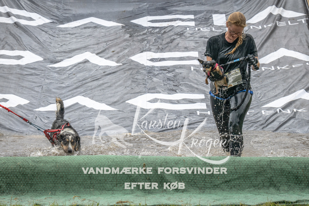 1426_ZZ90440 | kk-dogfotos