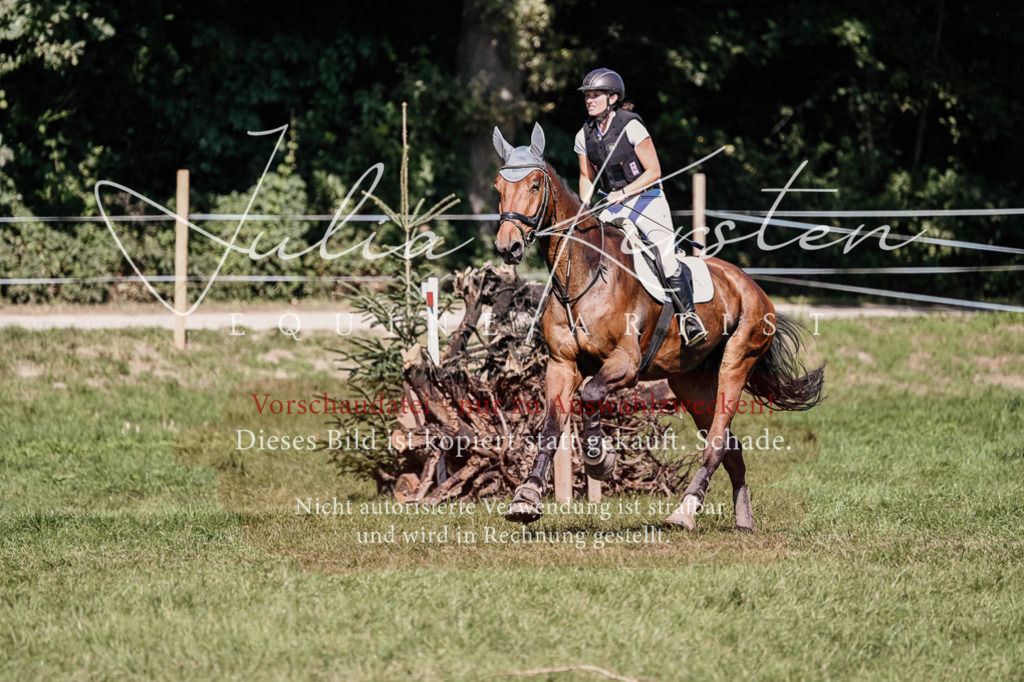 DSC_2711 | Pferde- und Turnierfotografie in Westsachsen. Pferdeportraits, Auftragszeichnungen und intuitive Kunst.