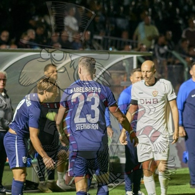 BFC Dynamo vs. SV Babelsberg 03 096 | mythos-online-redaktion