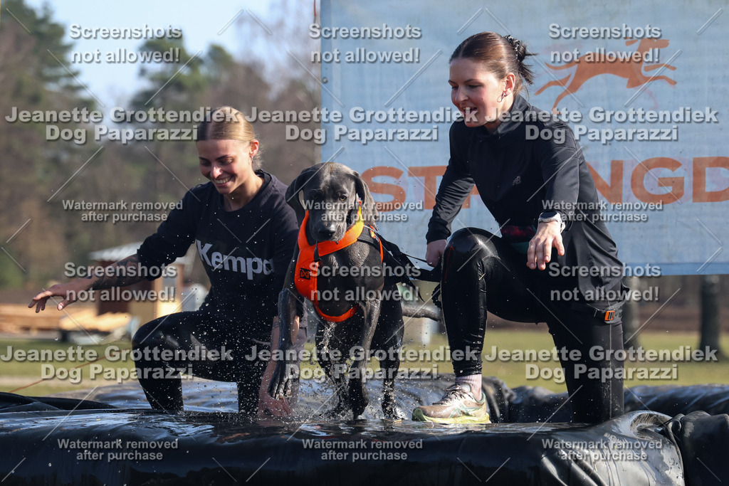 Dog Paparazzi - Strongdog North Mrz26-1379 | Dog Paparazzi Jeanette Grottendiek Fotografie & Videografie - Realisiert mit Pictrs.com
