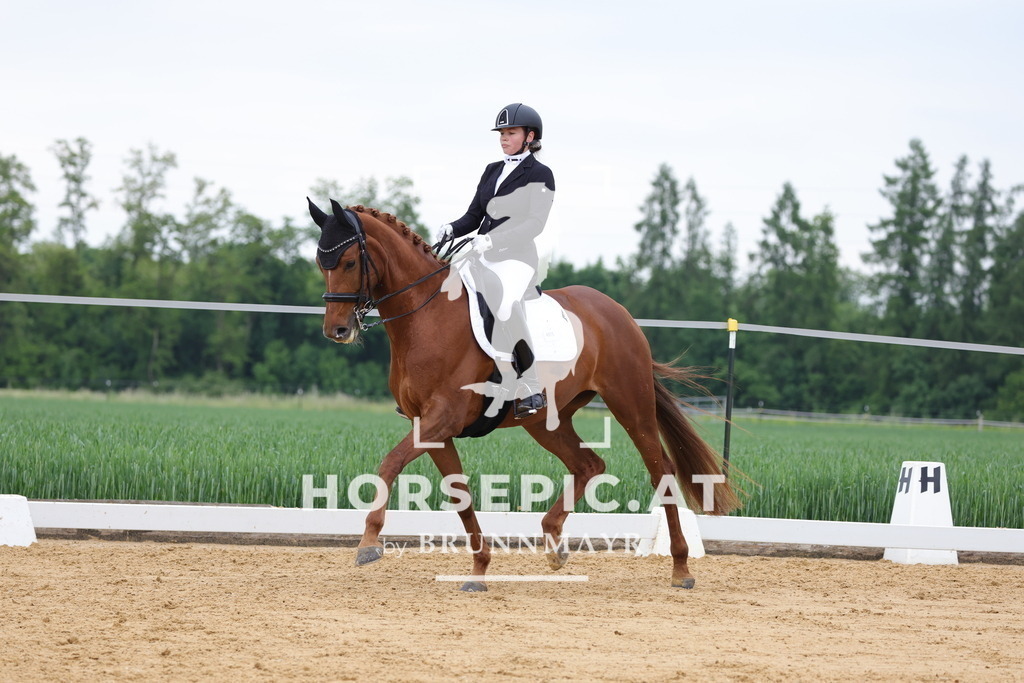 0P6A4941 | Willkommen bei Brunnmayr - Design & Fotografie – Ihrem Spezialisten für Reitturniere und Pferdeveranstaltungen in Oberösterreich, Salzburg und Bayern! Seit über 17 Jahren sind wir leidenschaftlich dabei.