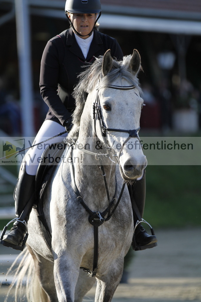 _MG_8519 | equestrian-live-com