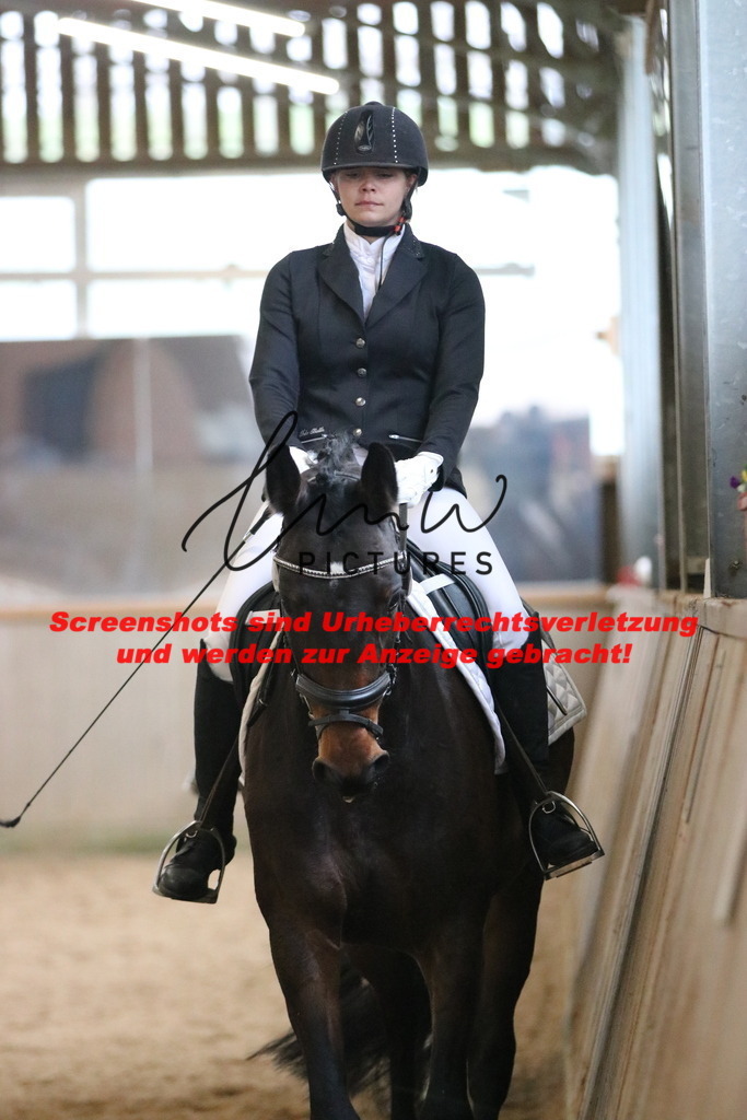 IMG_3872 | lmwpictures - Realisiert mit Pictrs.com