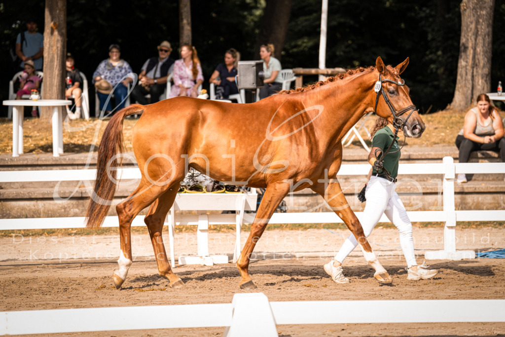 FrER00090 | Leoni Ertmer Photography - Realisiert mit Pictrs.com