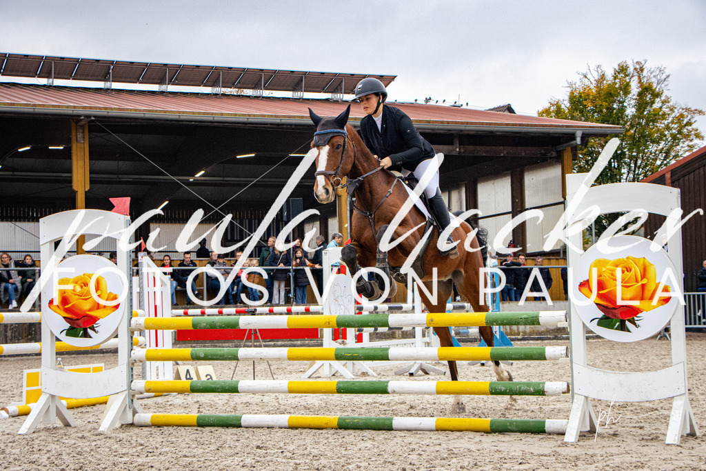 IMG_4125 | Erleben Sie dynamische Sport- und emotionale Tierfotografie in Süddeutschland mit Fotos von Paula. Spezialisiert auf Pferde- und Hundefotografie sowie Sportevents. Kontaktieren Sie mich für einzigartige und ausdrucksstarke Bilder Ihrer besonderen Momente. - Realisiert mit Pictrs.com