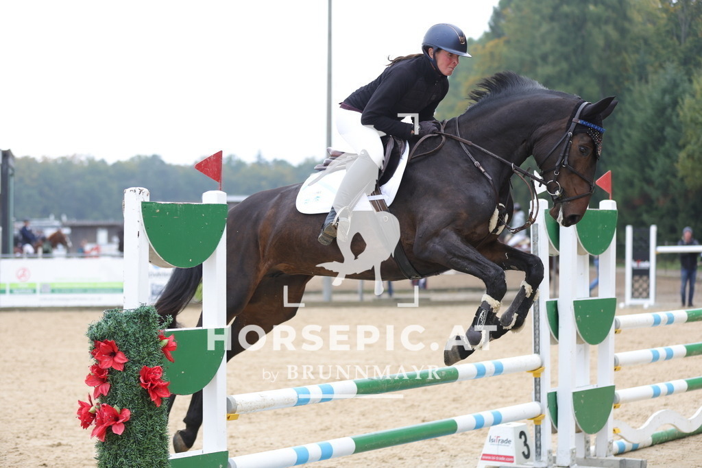 0P6A1734 | Willkommen bei Brunnmayr - Design & Fotografie – Ihrem Spezialisten für Reitturniere und Pferdeveranstaltungen in Oberösterreich, Salzburg und Bayern! Seit über 17 Jahren sind wir leidenschaftlich dabei.