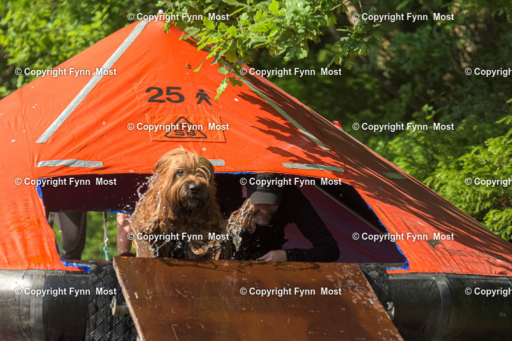 DSC_0224 | Hallo und herzlich Willkommen auf meiner Shop-Seite Fynn Most.

Ich wünsche Dir viel Spaß beim stöbern durch die Bilder, wenn Du Fragen hast oder Bilder vermisst, kannst du mir gerne eine Nachricht schreiben. - Realisiert mit Pictrs.com