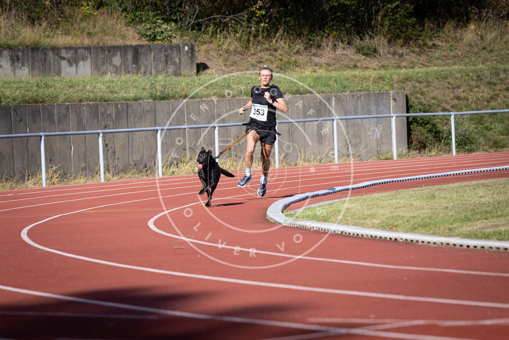Pfotenfotografie_DV3A9518 | Hundefotografie, Tierfotograf, Pfotenfotografie, Fotoshooting Hund, Hunde Portrait, Hundesport, Hundeportraits, Heideshooting, Hunde, Sportfotograf, Hundefotograf, Turnierhundsport, THS,  - Realisiert mit Pictrs.com