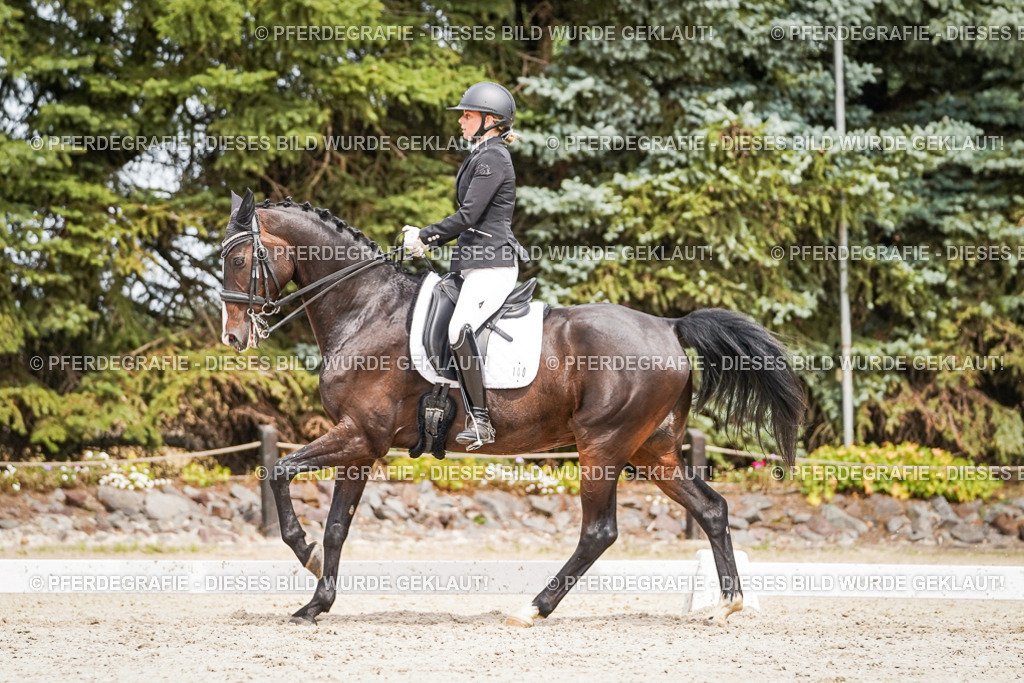 DSC05661 | Pferdegrafie