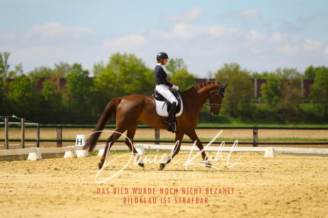 DKP43151 | Turniersportfotografie; Pferdefotografie; Dressurfotografie