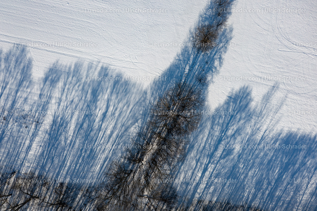 10049-52045 - Winterlandschaft bei Eilenstedt | Stockfoto und Bilderpool mit Bildmaterial aus Deutschland, dem Harz, Halberstadt, Quedlinburg, Wernigerode und weltweit. Qualitativ hochwertige und professionelle Fotos anschauen und kaufen. - Realisiert mit Pictrs.com