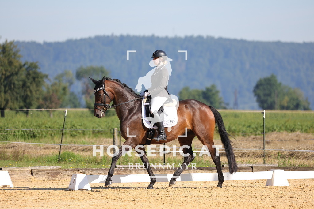 0P6A7193 | Willkommen bei Brunnmayr - Design & Fotografie – Ihrem Spezialisten für Reitturniere und Pferdeveranstaltungen in Oberösterreich, Salzburg und Bayern! Seit über 17 Jahren sind wir leidenschaftlich dabei.