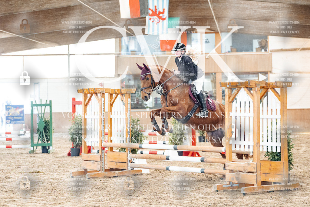 CK903838 | Turnierfotografie Pferdefotografie Trier Rheinland-Pfalz Pferdesport Reitsport Tierfotografie Sportfotografie Pferdevideo Pferdevideografie Equestrianvideography equestrianphotography  - Realized with Pictrs.com