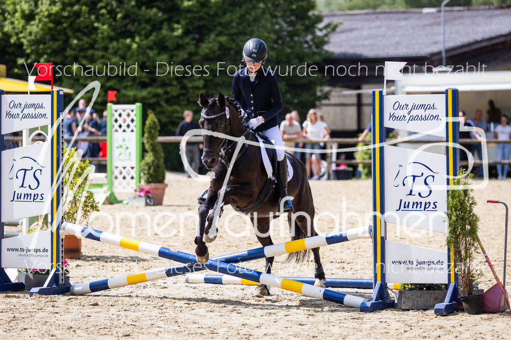 Donop24-SprRW-005 | MomenTaufnahmen Pferdesportfotos