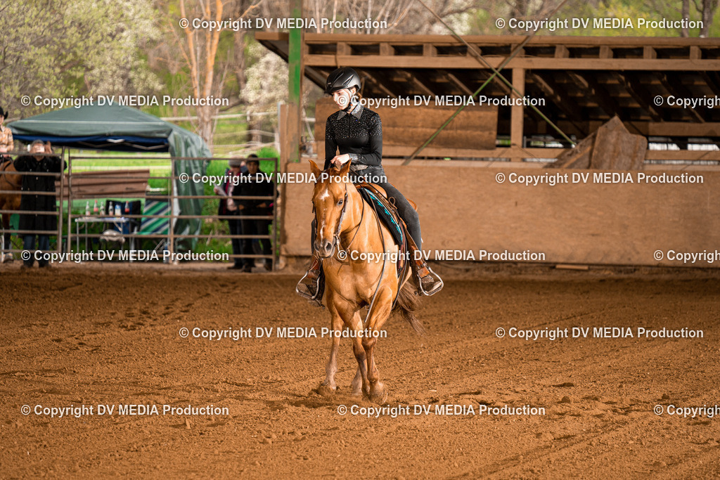 BAL00983 | dv-media-shop - Realisiert mit Pictrs.com