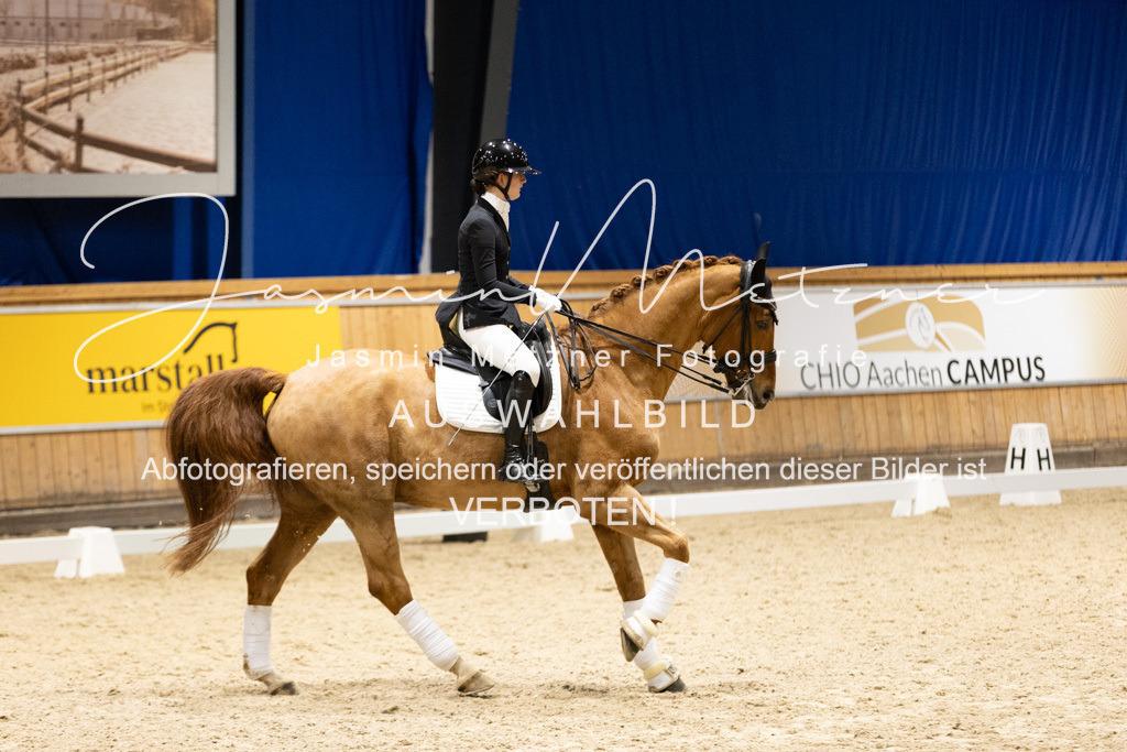 126A0334 | jasminmetznerfotografie