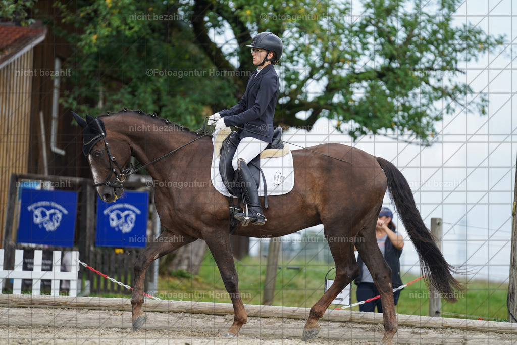 20230826-FAH05188 | Forstinning, 2023, Dressurturnier, Turniersportbilder, Turnierfotografen Bayern, Fotoagentur Herrmann, Reitsportfotografie, Turnierbilder