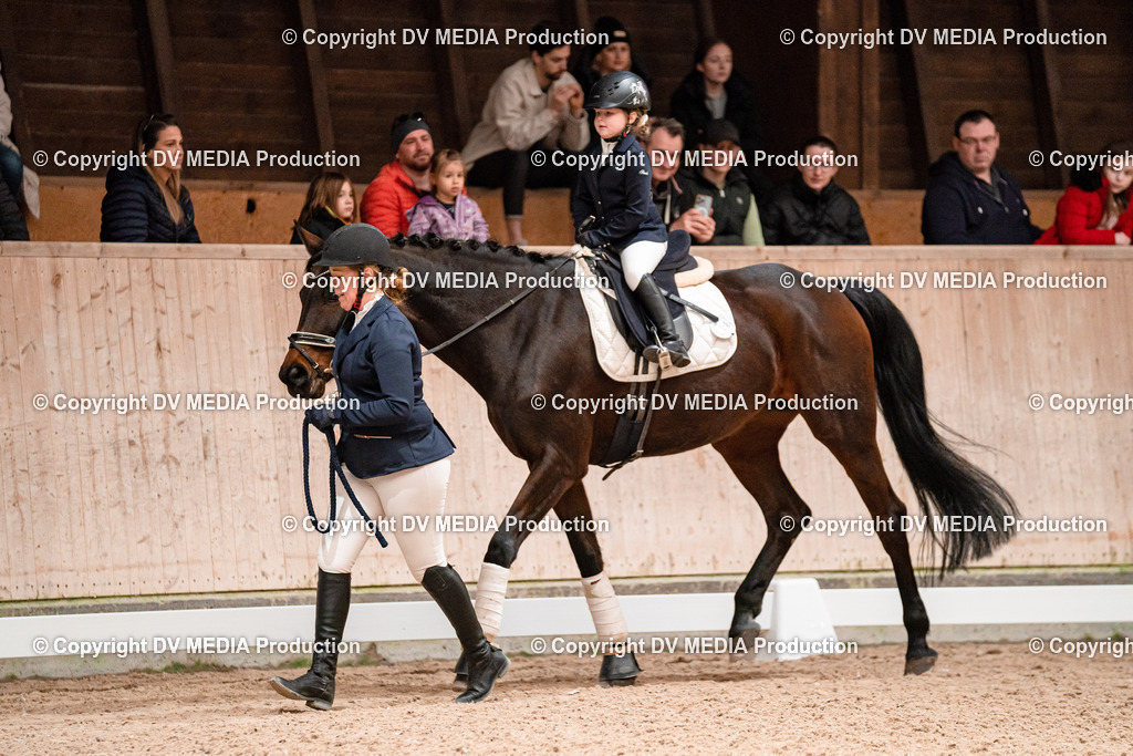 Dressur Tag 3-448 | dv-media-shop - Realisiert mit Pictrs.com