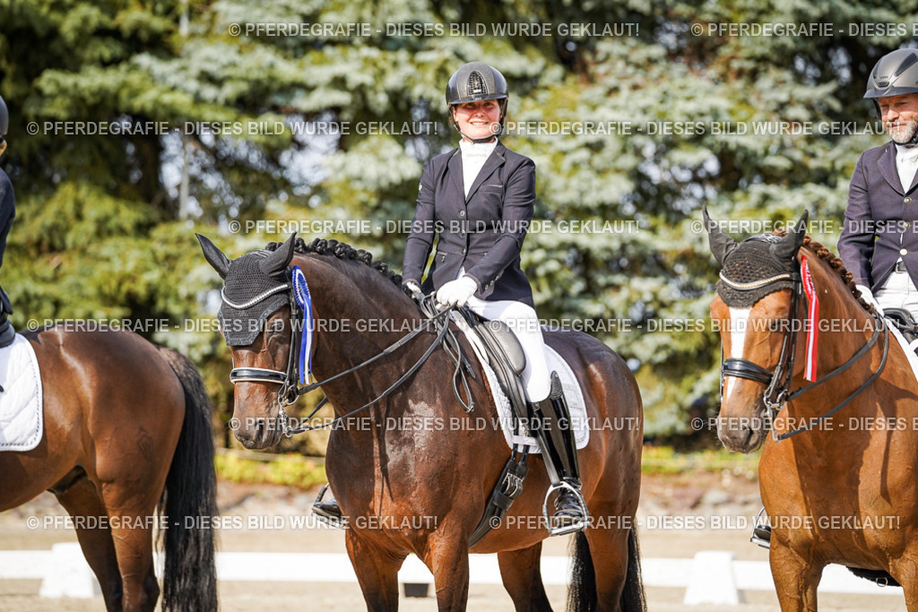 DSC07592 | Pferdegrafie