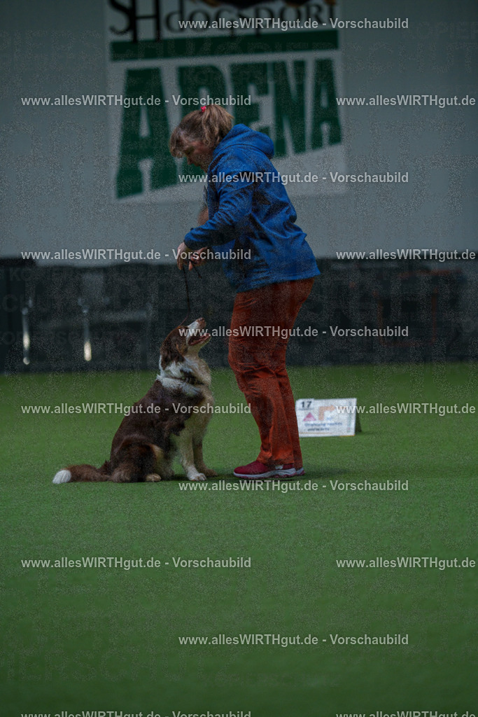 7R502904 | Professionelle Tierfotografie in Mönchengladbach von Daniel Wirth (allesWIRTHgut). Liebevolle & natürliche Bilder von Hunden & Katzen für unvergessliche Erinnerungen.