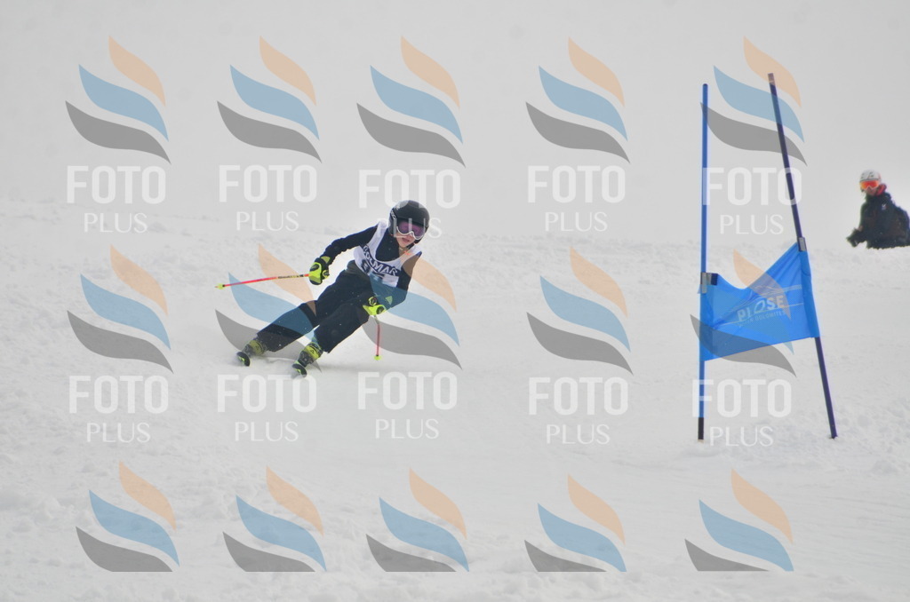 A5529 | holidayphoto