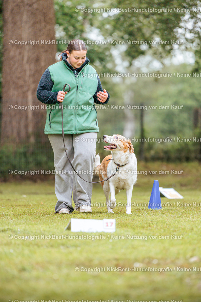 RO-Blumenthal-2026-Nickbest-Hundefotografie-4070 | Dein Hund! Dein Moment! Deine Erinnerungen! Hundefotografie in Bremen Blumenthal. Ich fange die besonderen Momente deines Vierbeiners ein – ob Indoor mit Blitzanlage oder in der freien Natur. Sicher dir dein Moment und dein Termin für eure Erinnerungen.