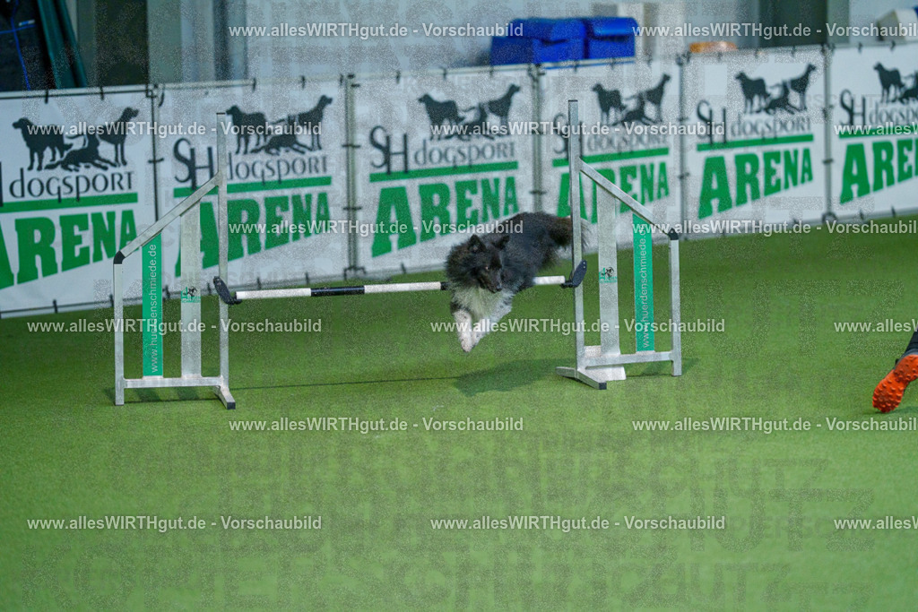 @allesWIRTHgut_Tierfotografie - www.allesWIRTHgut.de - 2604250957-7R509318 | Professionelle Tierfotografie in Mönchengladbach von Daniel Wirth (allesWIRTHgut). Liebevolle & natürliche Bilder von Hunden & Katzen für unvergessliche Erinnerungen.